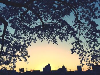 Low angle view of built structures at sunset