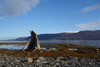 Old wooden ship wreck on beach against sky