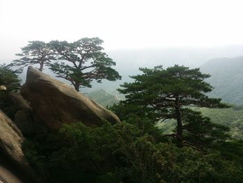 Scenic view of mountains