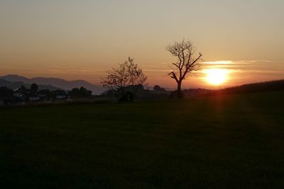 Silhouette trees on field against sky during sunset