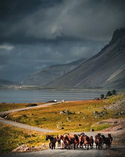 Scenic view of landscape against sky