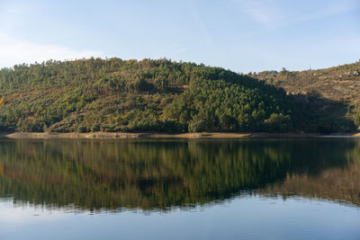 Scenic view of lake by trees in forest against sky