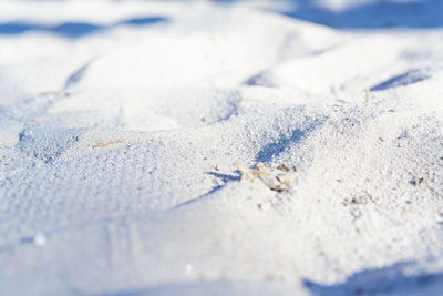 Close-up of snow on land