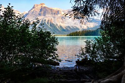 Scenic view of lake by trees against sky