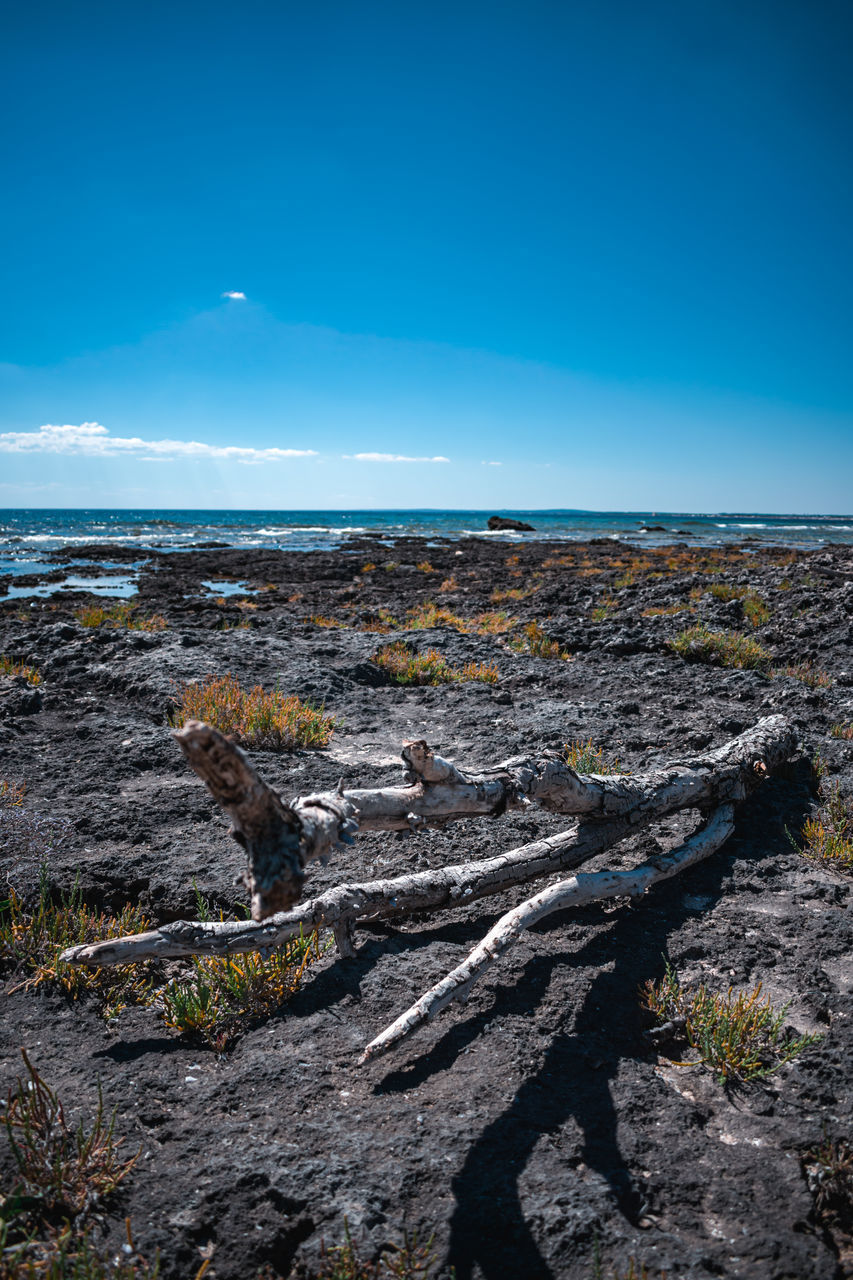 SCENIC VIEW OF ROCKY BEACH AGAINST BLUE SKY