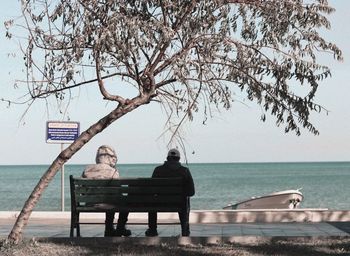 Rear view of man sitting on bench against sea