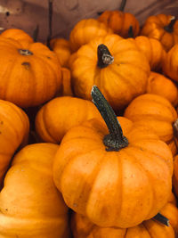 High angle view of pumpkins at market stall