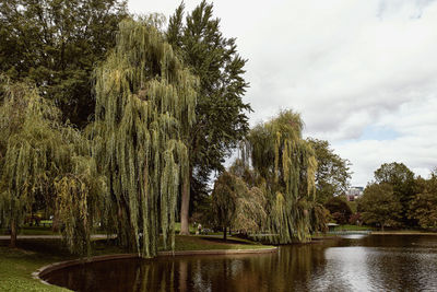 Scenic view of lake in forest against sky