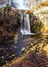 Scenic view of waterfall in forest