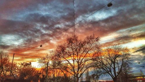 Bare trees against cloudy sky at sunset