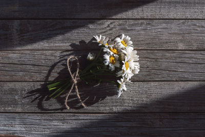 Bunch of wildflowers - white chamomiles on wooden background with shadows and light