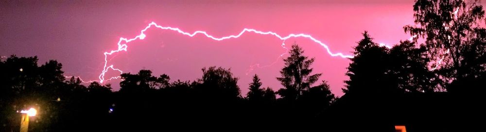 Low angle view of trees against sky at night