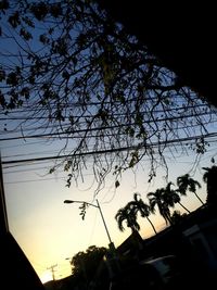 Low angle view of silhouette tree against sky
