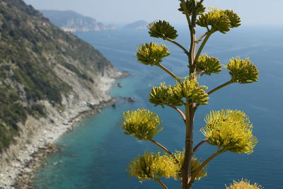 Scenic view of sea and mountains against sky