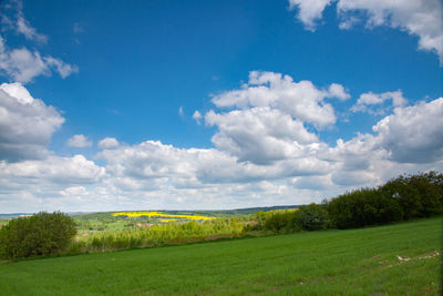 Scenic view of field against sky