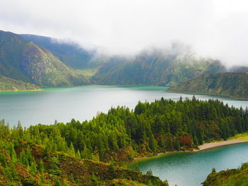 Scenic view of lake in forest against sky