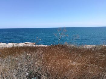 Scenic view of sea against clear sky