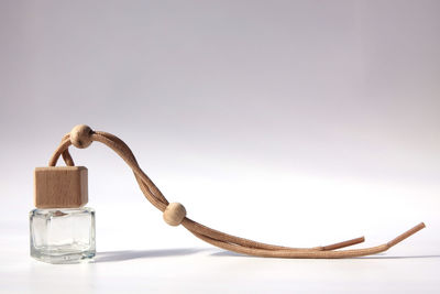 Close-up of lizard on table against white background