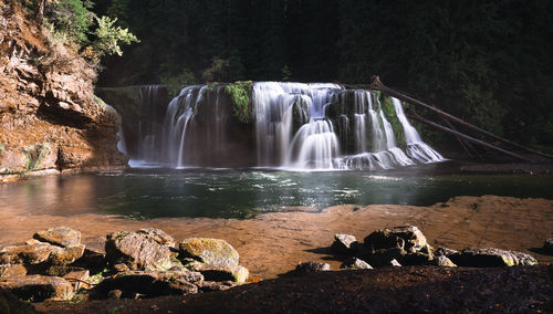 Scenic view of waterfall in forest