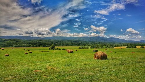 Scenic view of green landscape against sky