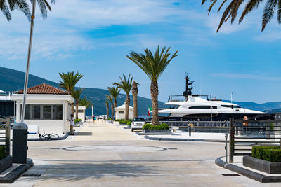 Palm trees at harbor against blue sky