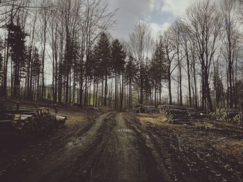 Road amidst trees against sky