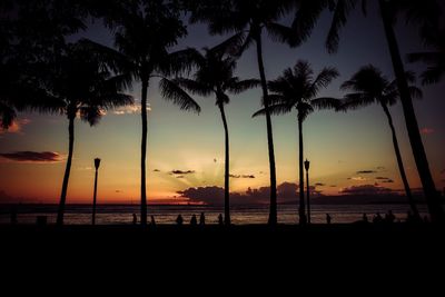 Silhouette palm trees on beach against sky at sunset