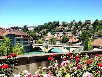 Arch bridge over river amidst buildings against sky