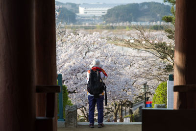 Man standing by tree