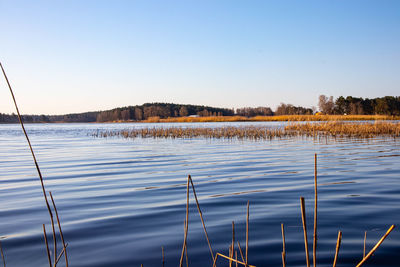 Scenic view of lake against clear blue sky