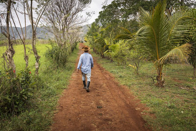 Rear view of woman walking on footpath amidst trees