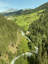 High angle view of trees on landscape against sky