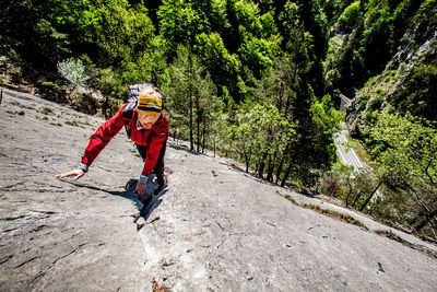 High angle view of man climbing rock formation against tree