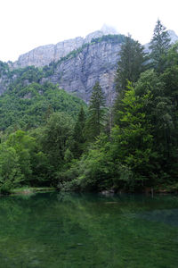 Scenic view of lake in forest against sky
