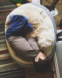 High angle view of boy sleeping with dog on pet bed at floor