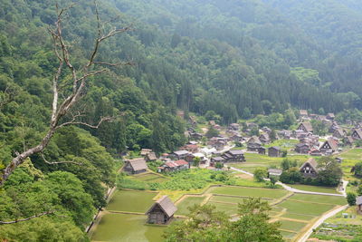 High angle view of trees and buildings