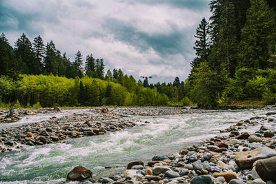 Scenic view of stream in forest against sky