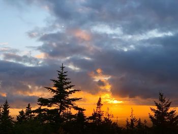 Low angle view of silhouette trees against sky during sunset