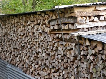 Stack of logs in forest