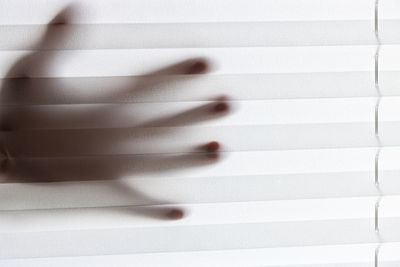 Close-up of person shadow on white blinds