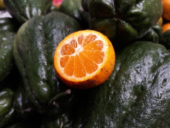 Close-up of orange