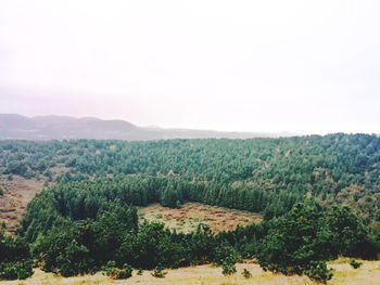 Scenic view of landscape against clear sky