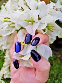 Close-up of hand holding purple flowering plant