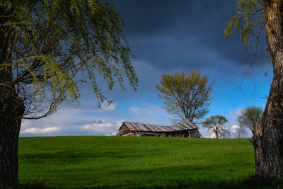 Urban farm