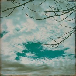 Low angle view of bare tree against sky