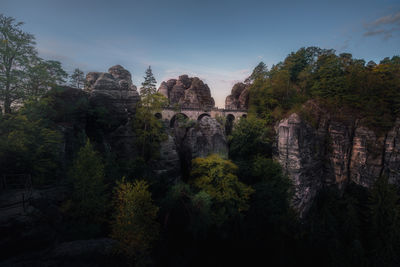 Panoramic view of trees in forest against sky