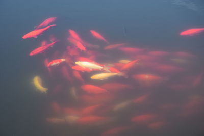 Low angle view of illuminated sky during sunset