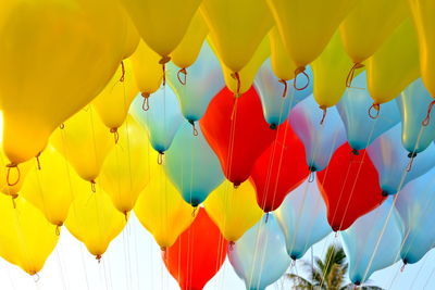 Multi colored balloons hanging outdoors