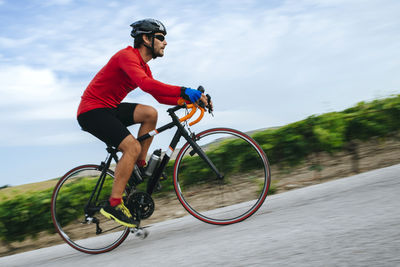 Spain, andalusia, jerez de la frontera, man on a bicycle on a road between vineyards