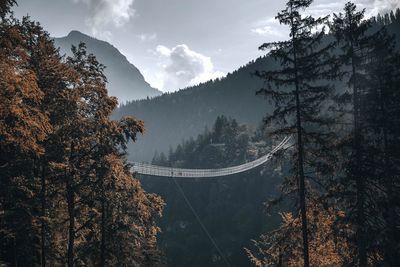 Panoramic view of trees and mountains against sky